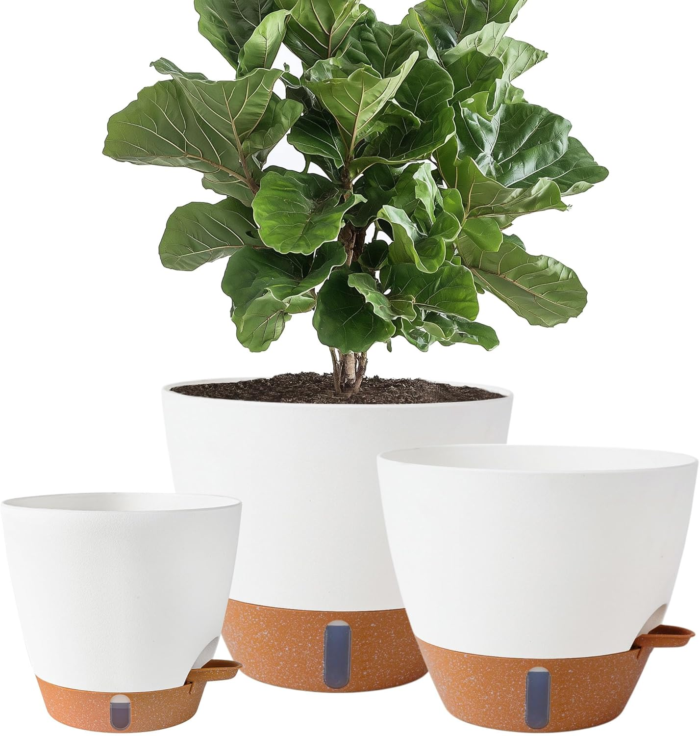 Self Watering Plant Pots
