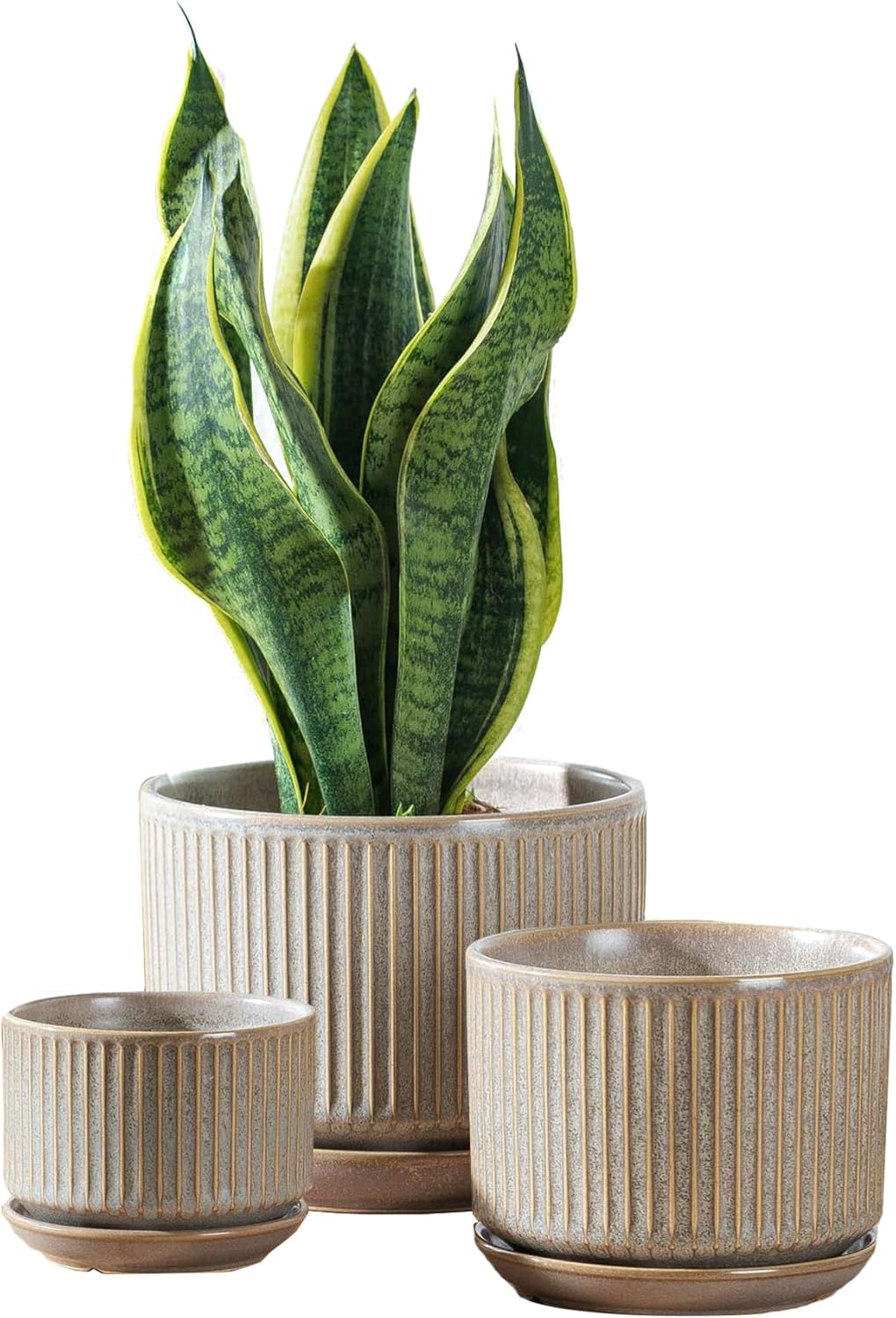 Neutral Plant Pots