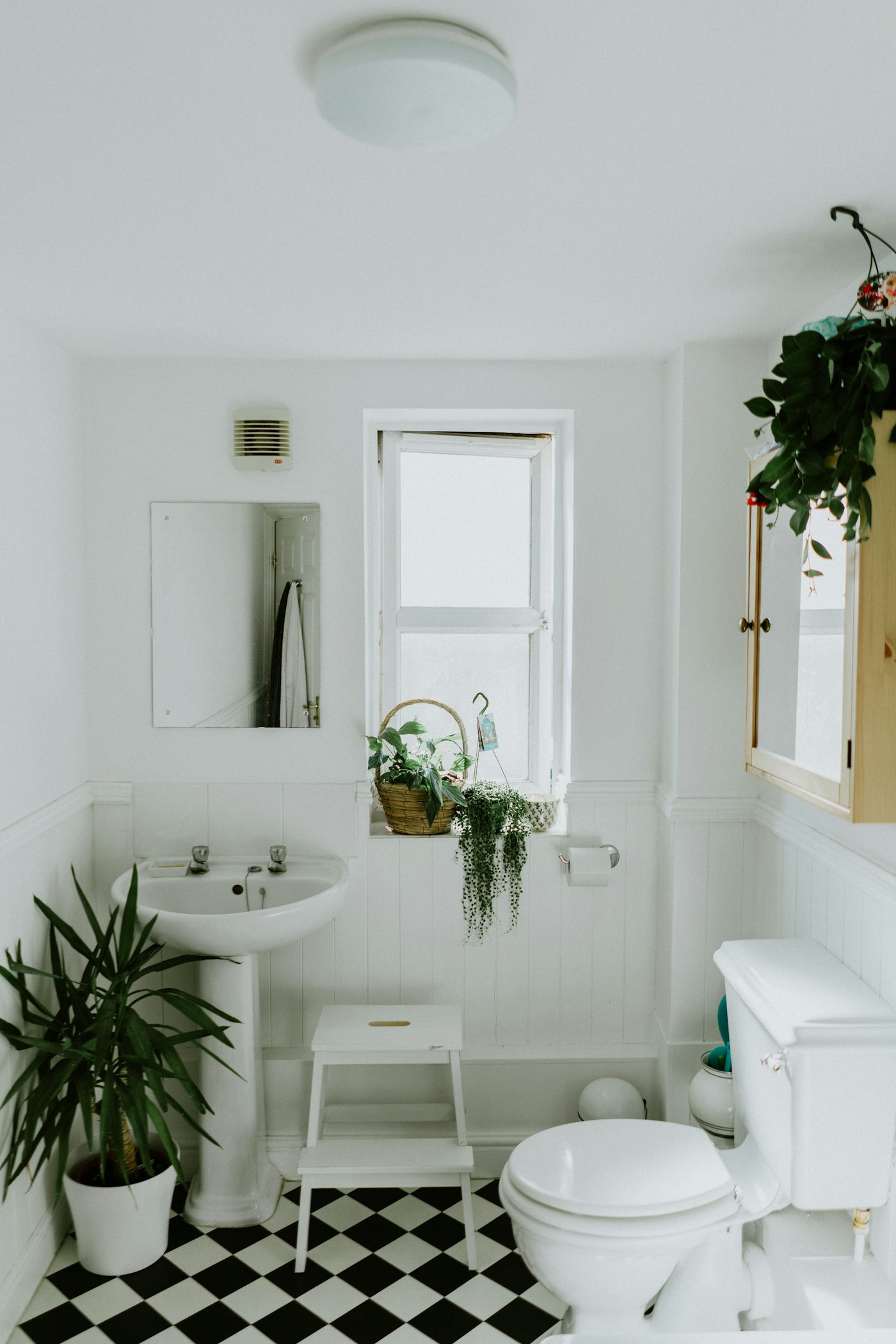 Clean organized small apartment bathroom with warm natural light